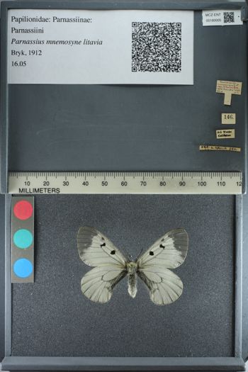 Media type: image;   Entomology 180005